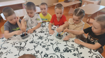 Исследовательская деятельность в средней группе "Птички" Исследовательская деятельность в средней группе "Птички".